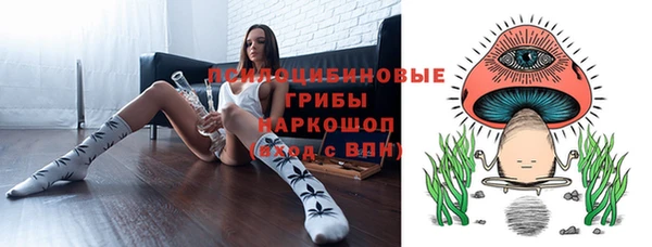 ешки Зеленодольск