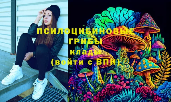 ешки Зеленодольск