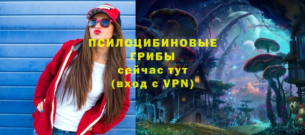 хмурый Зерноград